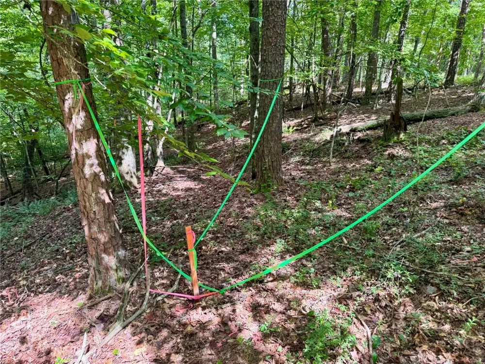 Lot 5 Fowler Creek Drive Cleveland, GA 30528