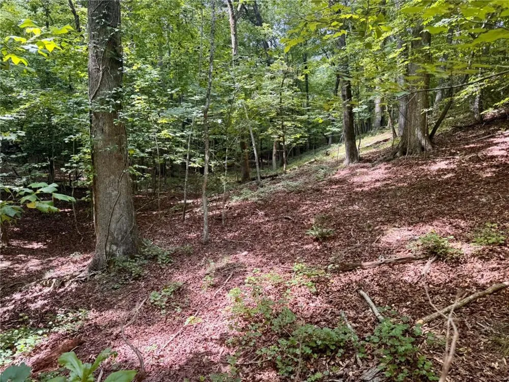 Lot 5 Fowler Creek Drive Cleveland, GA 30528