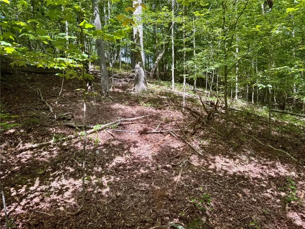Lot 5 Fowler Creek Drive Cleveland, GA 30528