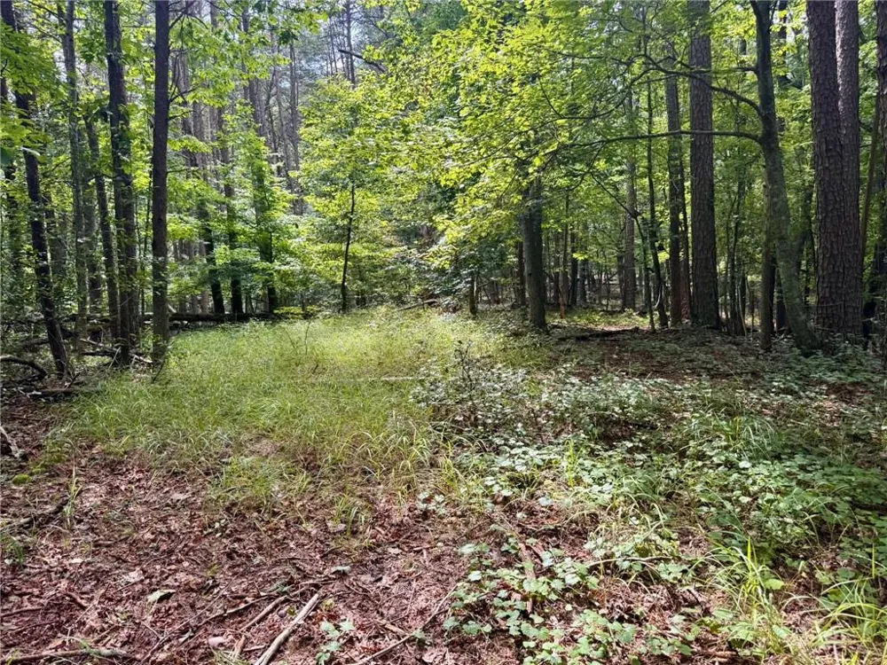 Lot 5 Fowler Creek Drive Cleveland, GA 30528