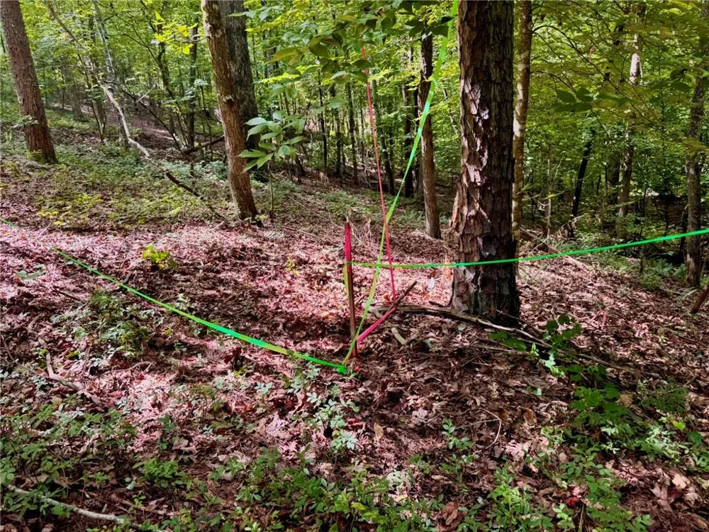Lot 5 Fowler Creek Drive Cleveland, GA 30528