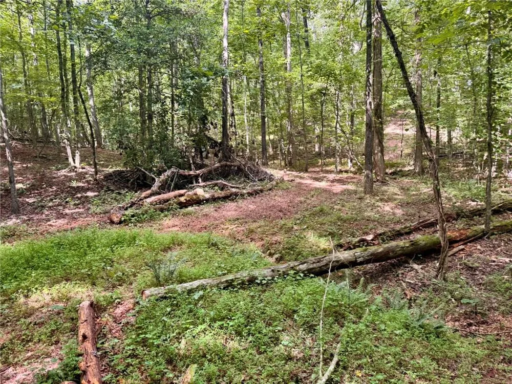 Lot 5 Fowler Creek Drive Cleveland, GA 30528