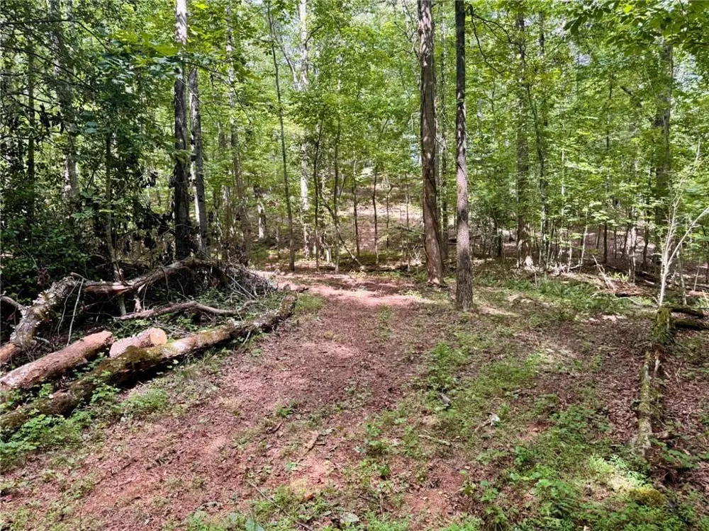 Lot 5 Fowler Creek Drive Cleveland, GA 30528