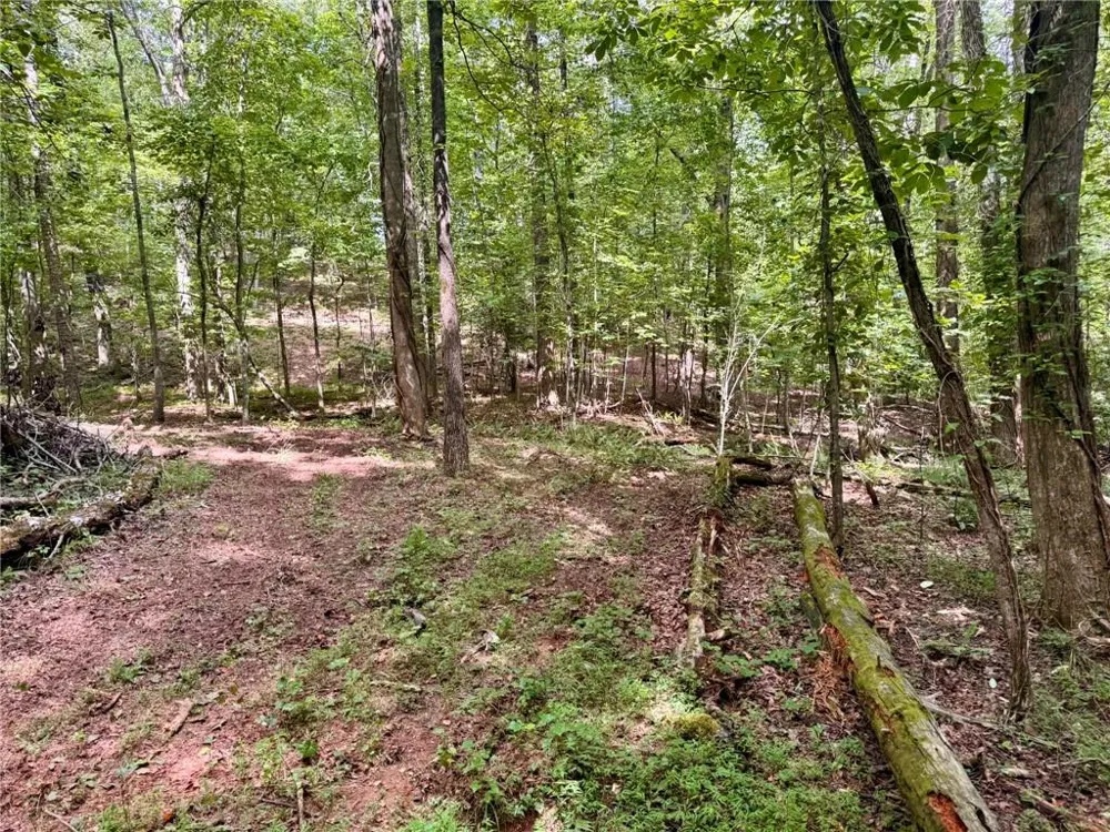 Lot 5 Fowler Creek Drive Cleveland, GA 30528