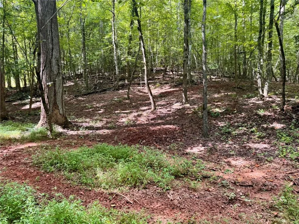 Lot 5 Fowler Creek Drive Cleveland, GA 30528