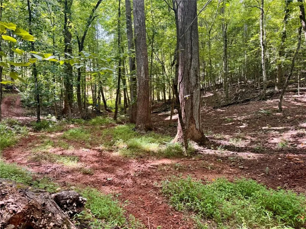 Lot 5 Fowler Creek Drive Cleveland, GA 30528