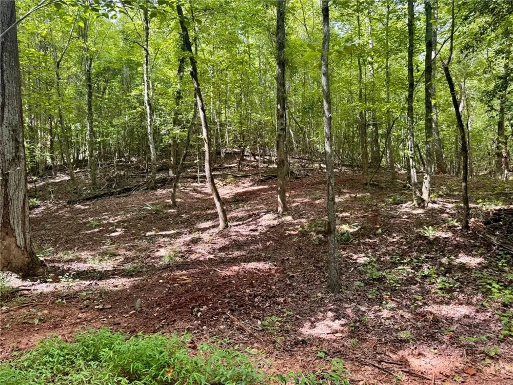 Lot 5 Fowler Creek Drive Cleveland, GA 30528