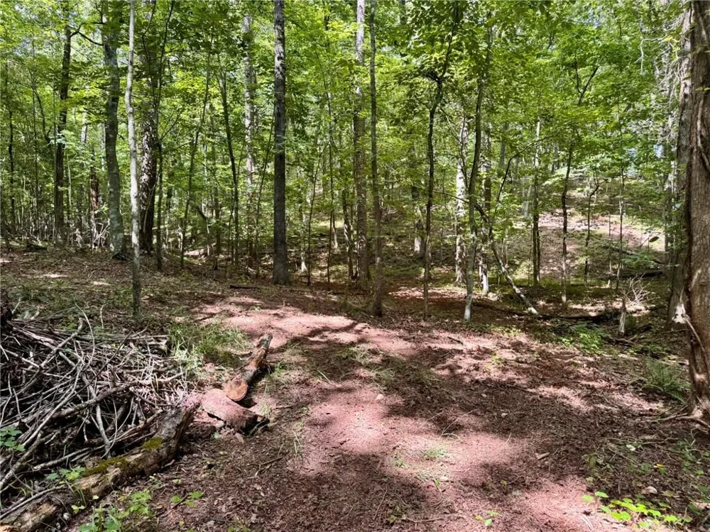 Lot 5 Fowler Creek Drive Cleveland, GA 30528