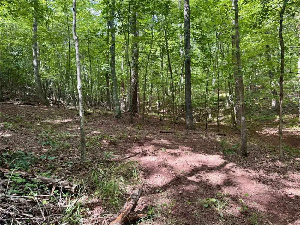 Lot 5 Fowler Creek Drive Cleveland, GA 30528