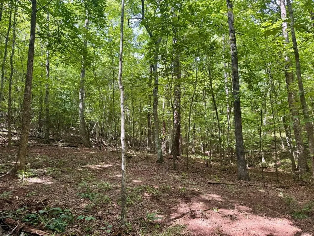 Lot 5 Fowler Creek Drive Cleveland, GA 30528