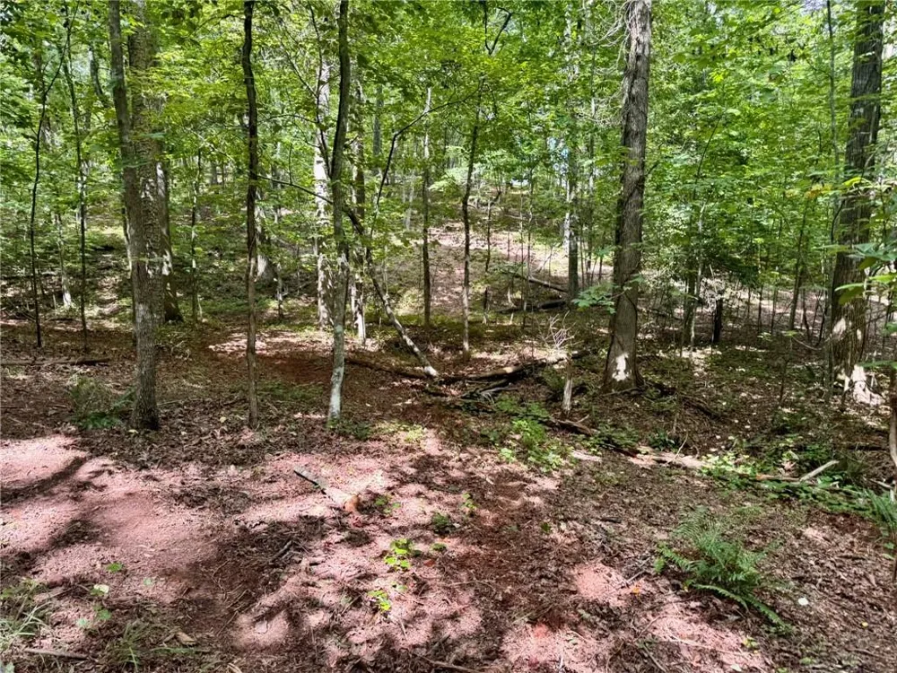 Lot 5 Fowler Creek Drive Cleveland, GA 30528