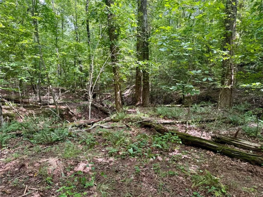 Lot 5 Fowler Creek Drive Cleveland, GA 30528