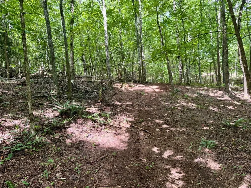 Lot 5 Fowler Creek Drive Cleveland, GA 30528