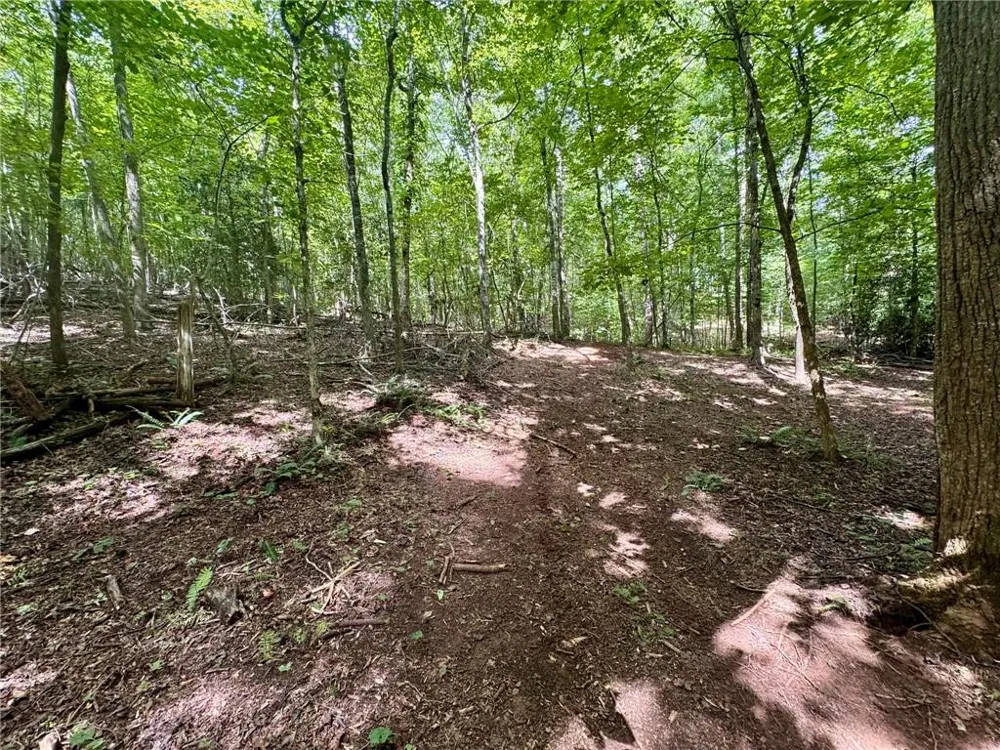 Lot 5 Fowler Creek Drive Cleveland, GA 30528