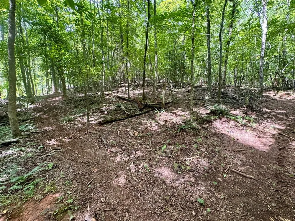 Lot 5 Fowler Creek Drive Cleveland, GA 30528