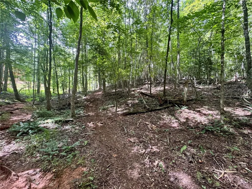 Lot 5 Fowler Creek Drive Cleveland, GA 30528