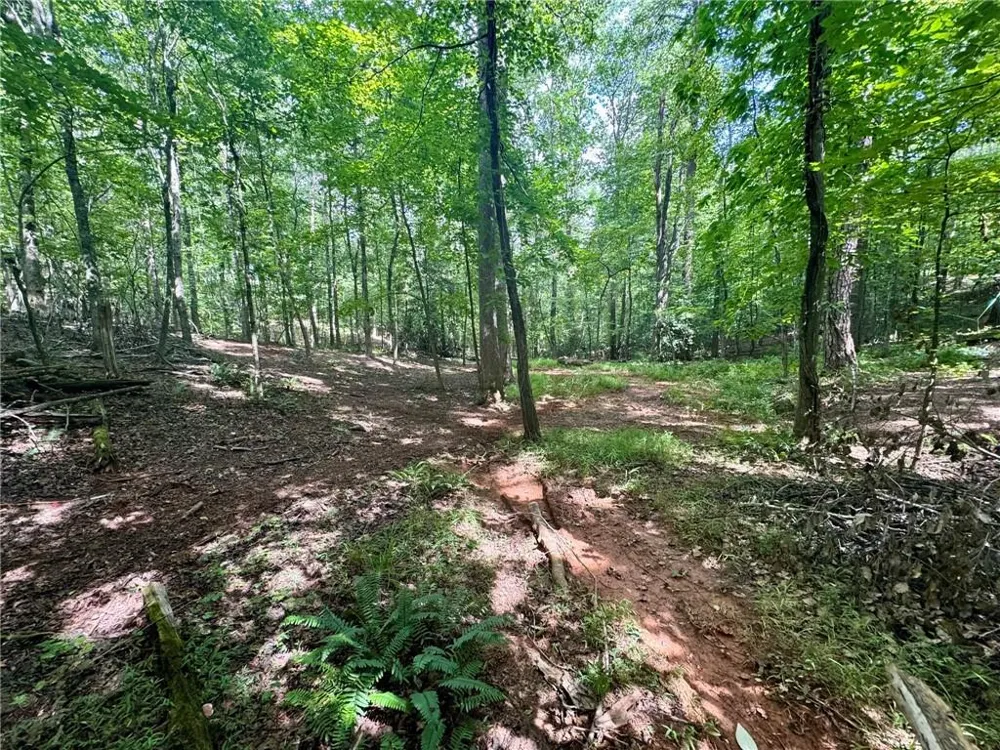 Lot 5 Fowler Creek Drive Cleveland, GA 30528