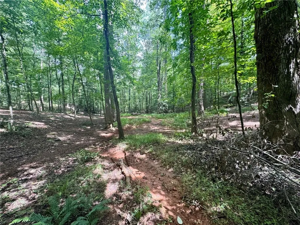 Lot 5 Fowler Creek Drive Cleveland, GA 30528