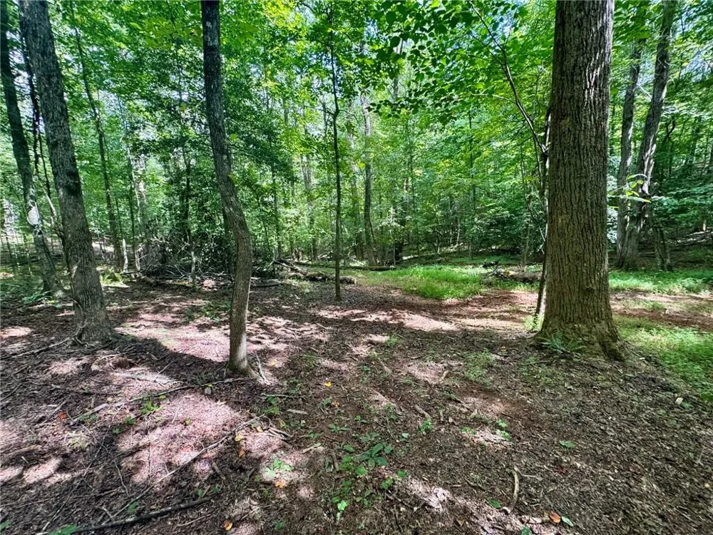 Lot 5 Fowler Creek Drive Cleveland, GA 30528