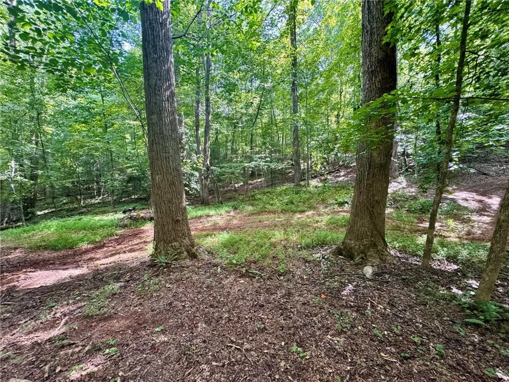 Lot 5 Fowler Creek Drive Cleveland, GA 30528