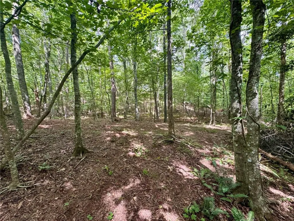 Lot 5 Fowler Creek Drive Cleveland, GA 30528