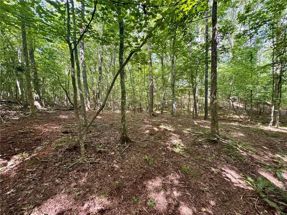 Lot 5 Fowler Creek Drive Cleveland, GA 30528