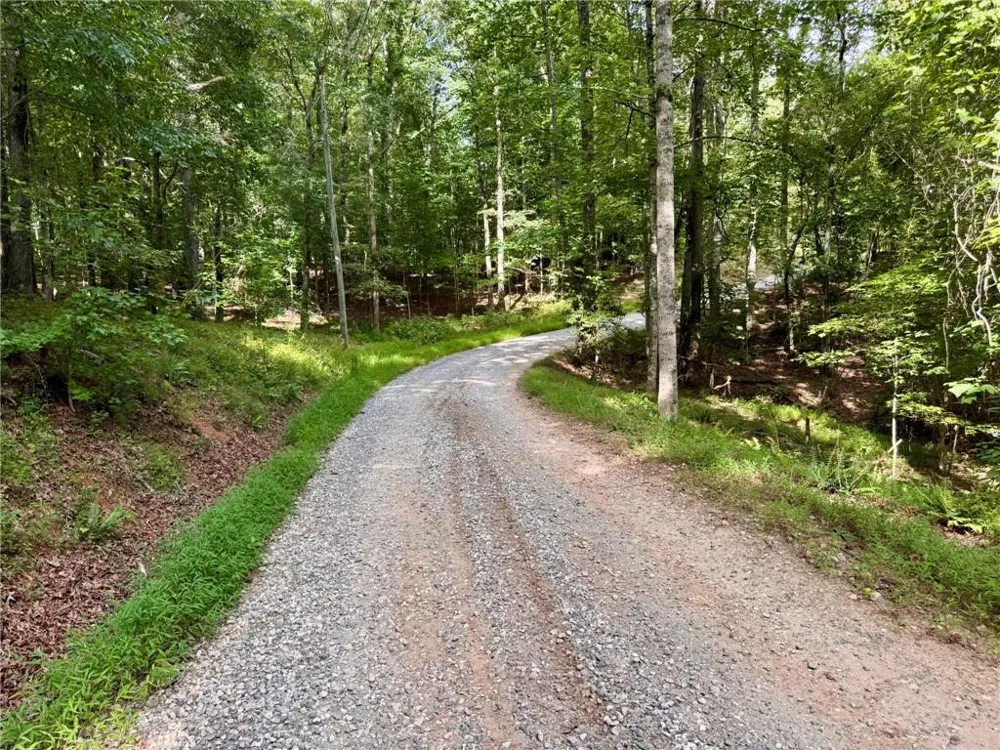 Lot 5 Fowler Creek Drive Cleveland, GA 30528