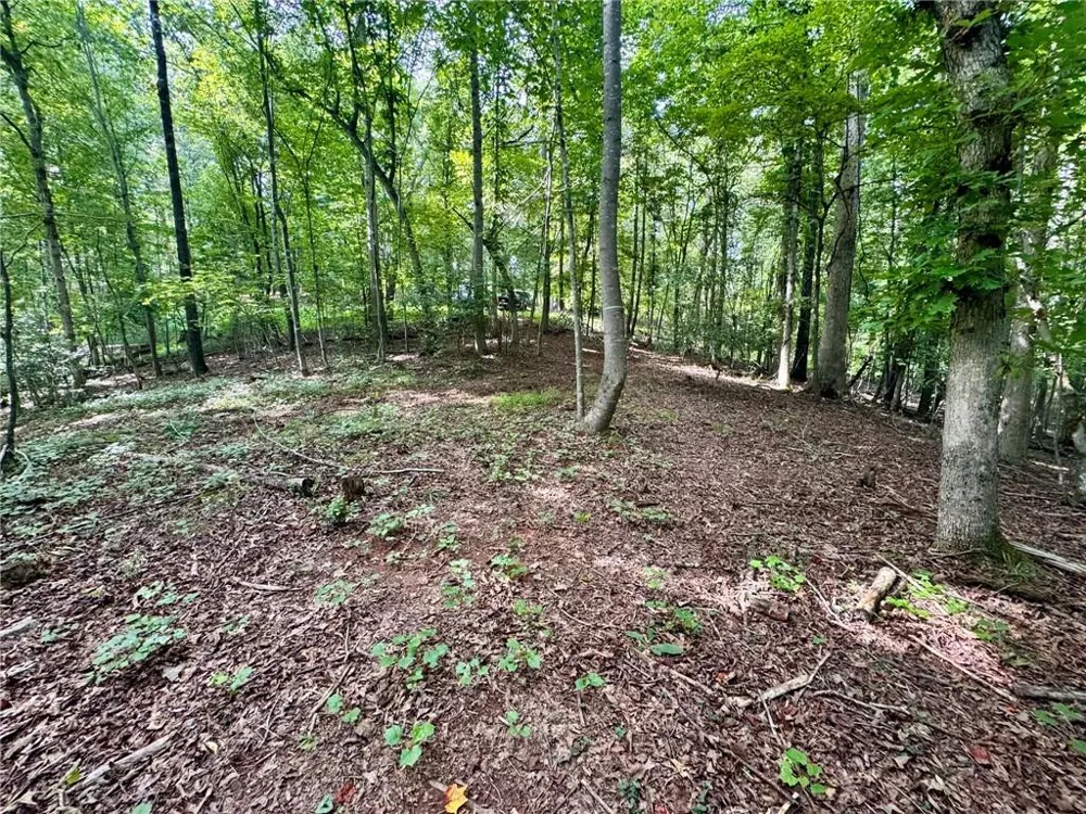 Lot 5 Fowler Creek Drive Cleveland, GA 30528