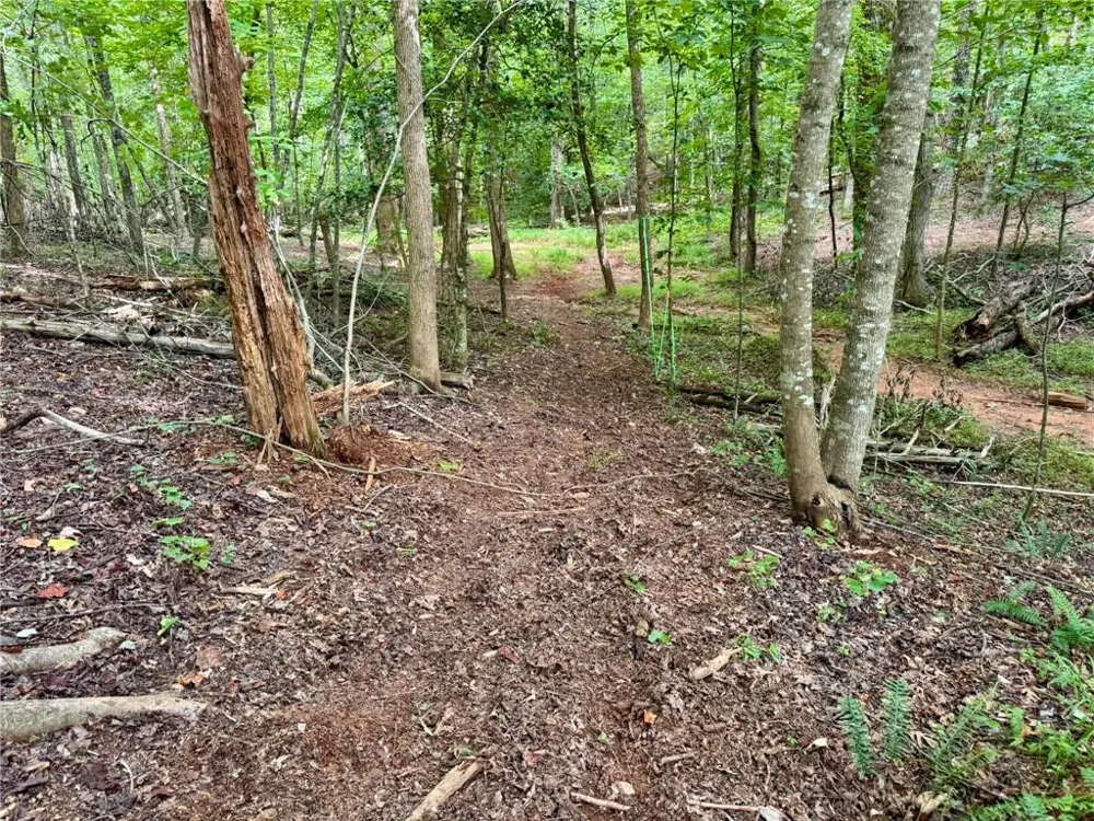 Lot 5 Fowler Creek Drive Cleveland, GA 30528