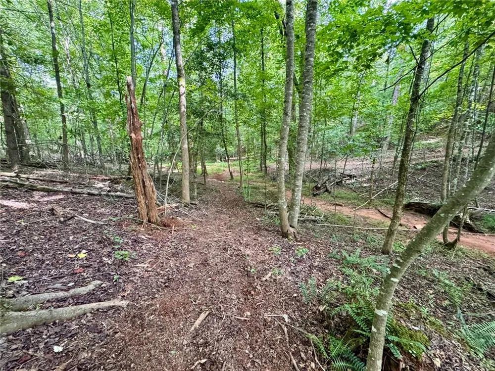 Lot 5 Fowler Creek Drive Cleveland, GA 30528