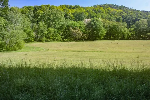 0 Harpeth Peytonsville Rd