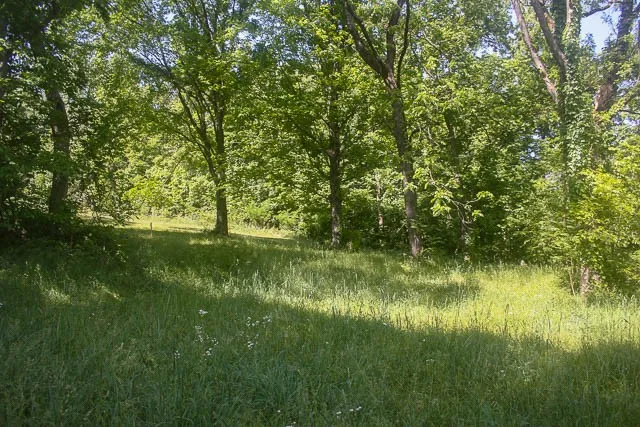 0 Harpeth Peytonsville Rd Thompsons Station, TN 37179