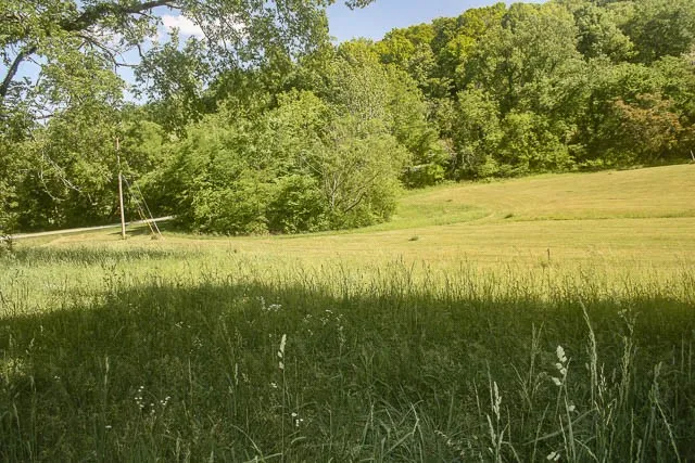 0 Harpeth Peytonsville Rd Thompsons Station, TN 37179