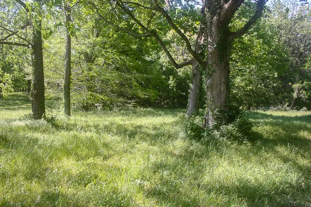 0 Harpeth Peytonsville Rd Thompsons Station, TN 37179
