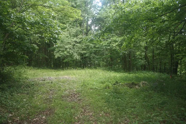 0 Harpeth Peytonsville Rd Thompsons Station, TN 37179