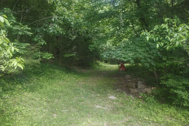 0 Harpeth Peytonsville Rd Thompsons Station, TN 37179