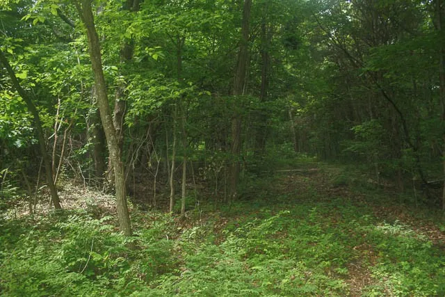 0 Harpeth Peytonsville Rd Thompsons Station, TN 37179
