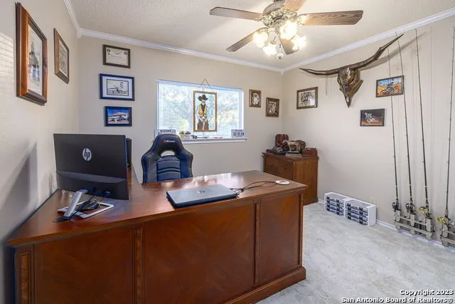 1940 Lower Seguin Rd Marion, TX 78124