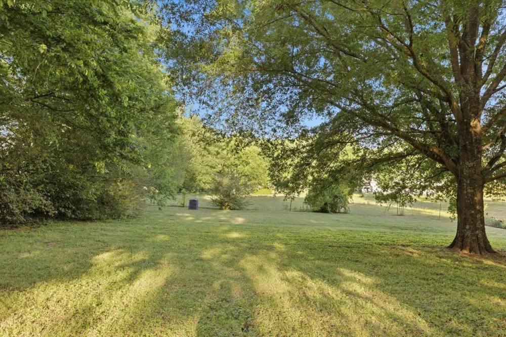 1038 S Cross Bridges Rd Mount Pleasant, TN 38474