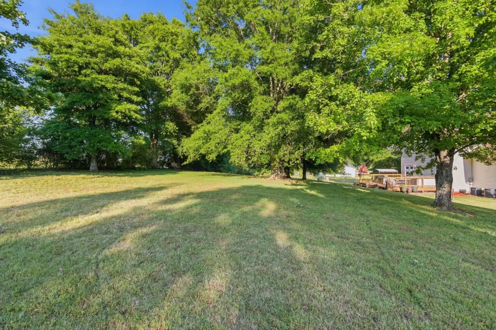 1038 S Cross Bridges Rd Mount Pleasant, TN 38474