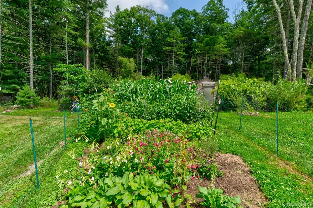 116 Francis Drive Narrowsburg, NY 12764