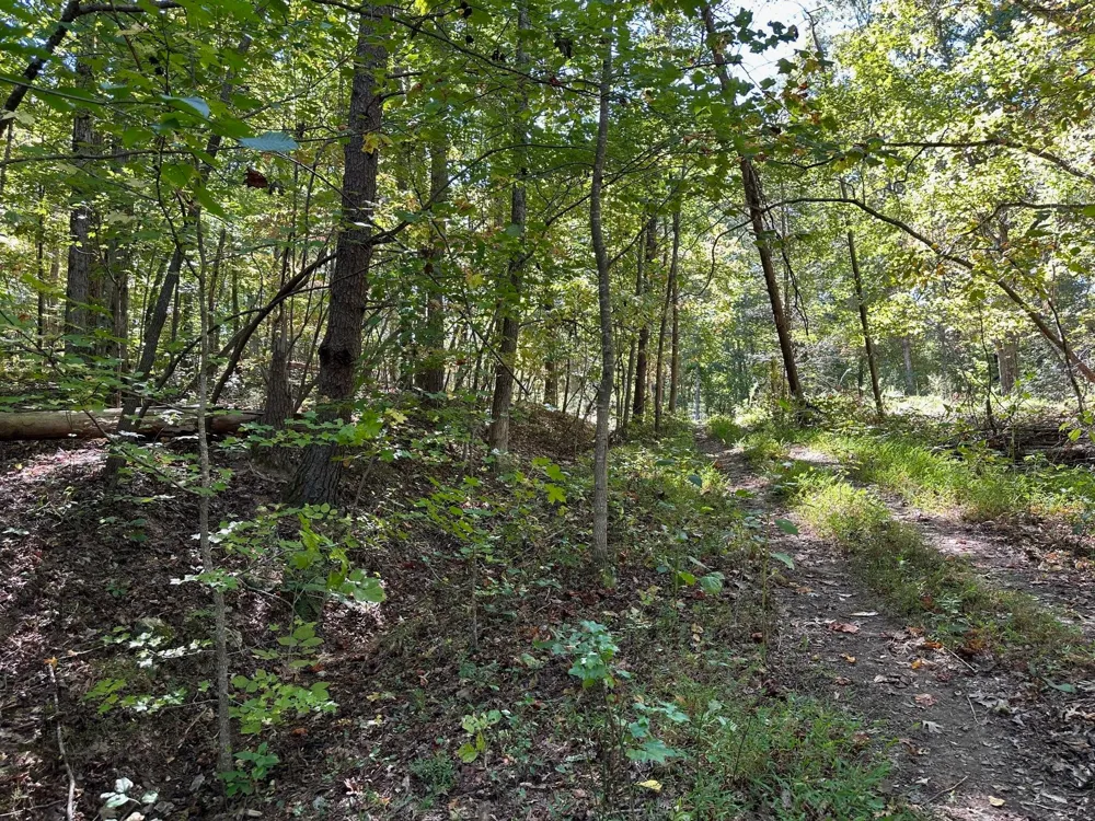354 Diana Drive Spring City, TN 37381