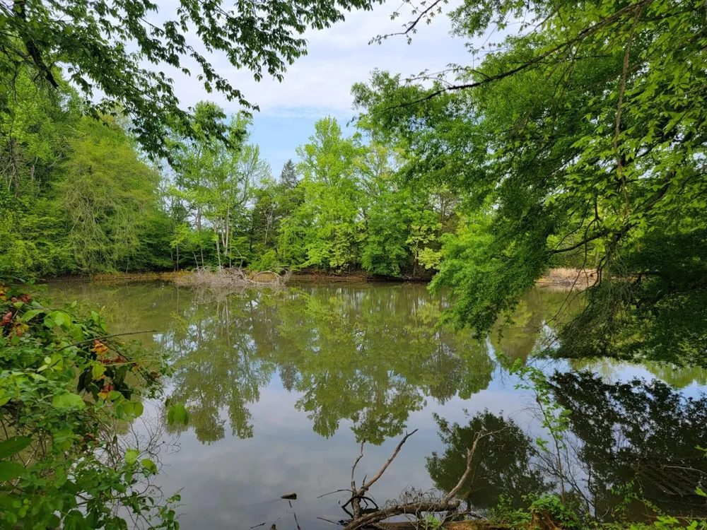 0 Scoggins Lane Dayton, TN 37321