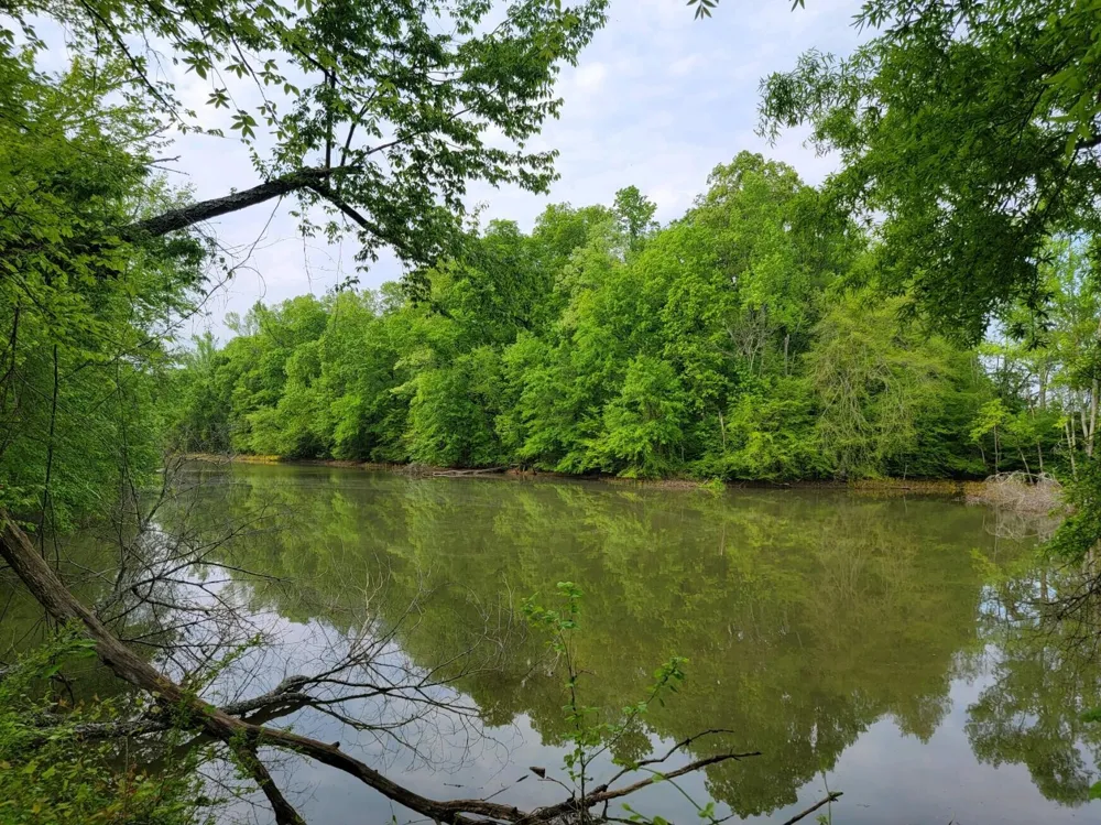 0 Scoggins Lane Dayton, TN 37321
