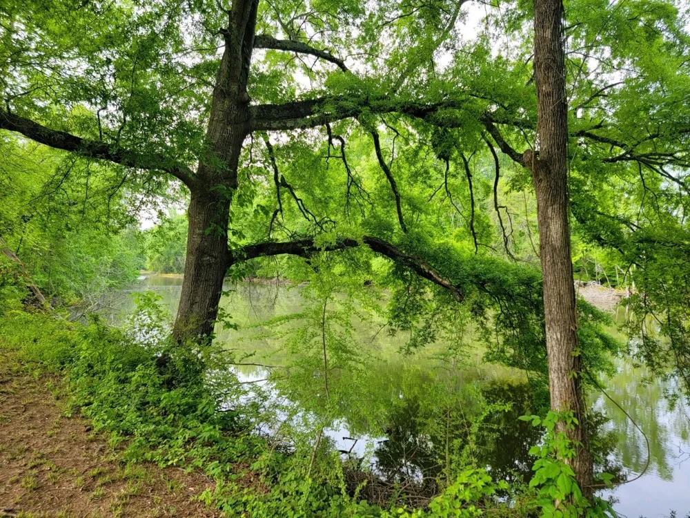 0 Scoggins Lane Dayton, TN 37321