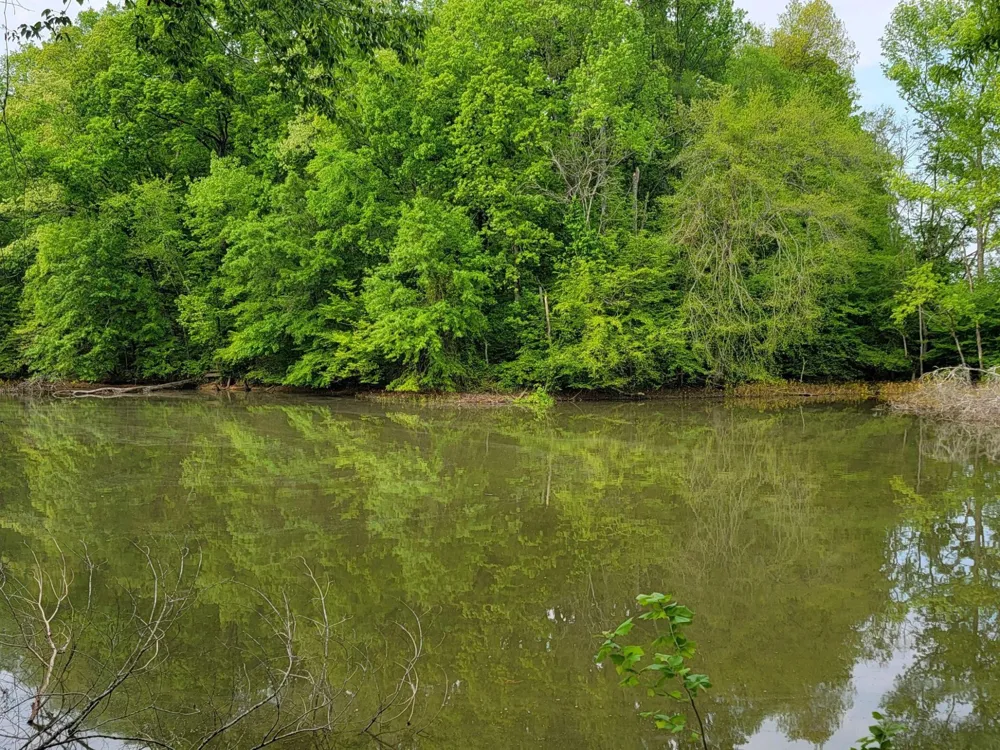 0 Scoggins Lane Dayton, TN 37321