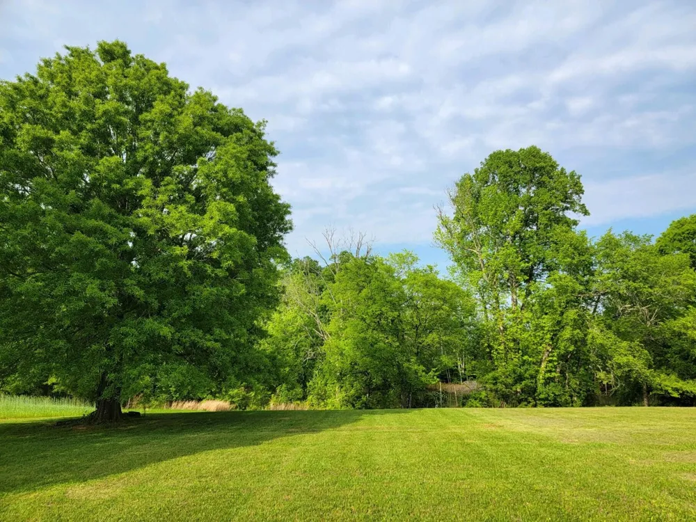 0 Scoggins Lane Dayton, TN 37321
