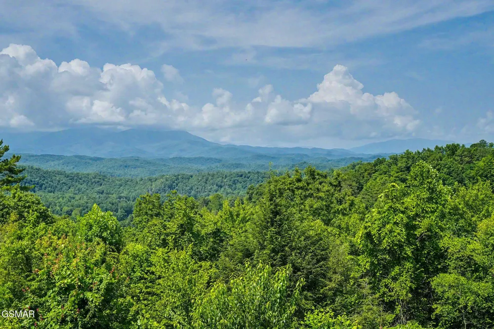 3710 Weber Road #104E Gatlinburg, TN 37738