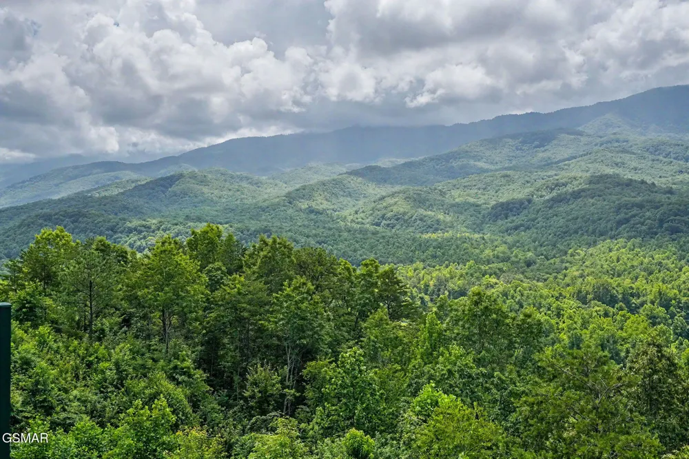 3710 Weber Road #104C Gatlinburg, TN 37738