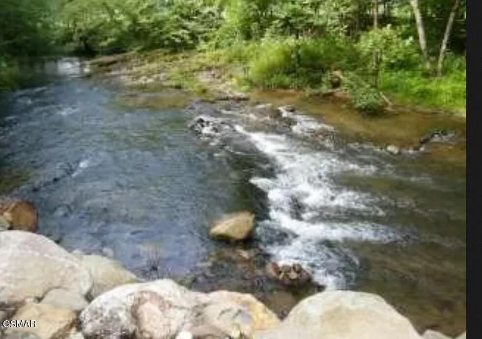 222 Limestone Way Cosby, TN 37722